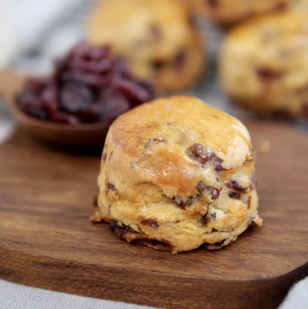 Cranberry Scones | Chanlé Kitchen <span class="jet-smart-filters-seo-rules-title"></span>