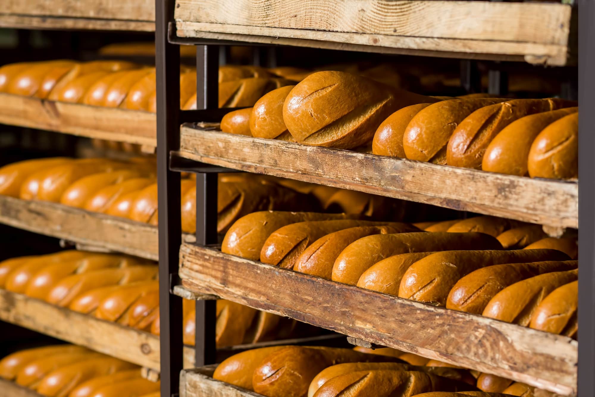 image-NVPDHKW.jpg Bread displayed on bakery shelves